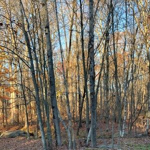 Meet your Posher, Catalina